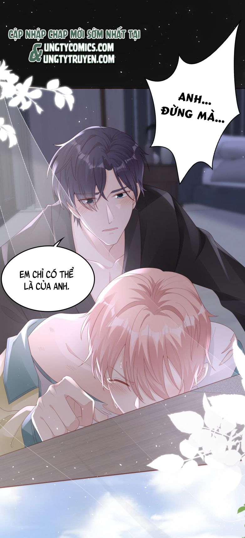 Bùi Bảo Chapter 65 - Next Chapter 66