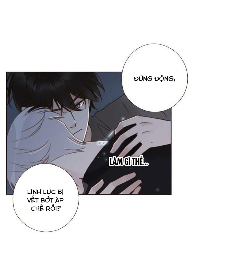 Ôm Chặt Vào Lòng Chap 52 - Next Chap 53