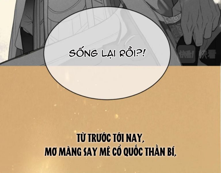 Tạm Biệt Quốc Vương Của Ta Văn Án - Next Chap 1