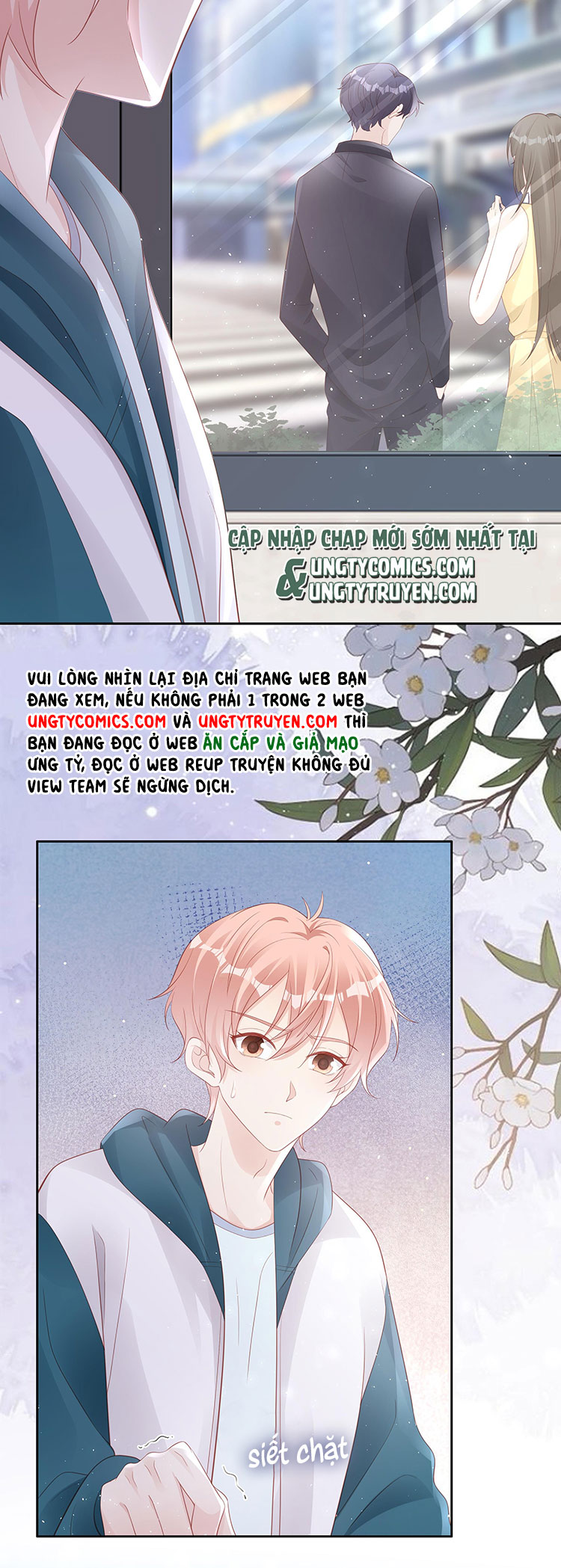 Bùi Bảo Chapter 67 - Next Chapter 68