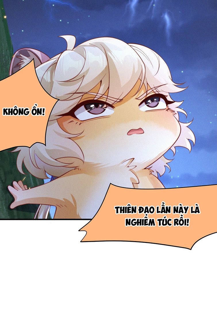 Nhất Niệm Giai Tình Chap 51 - Next Chap 52