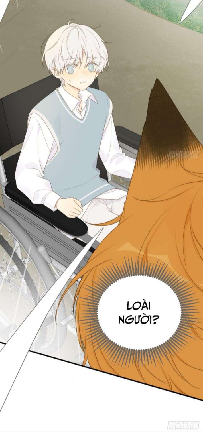 Chỉ Có Đuôi Là Không Thể Chap 1 - Next Chap 2