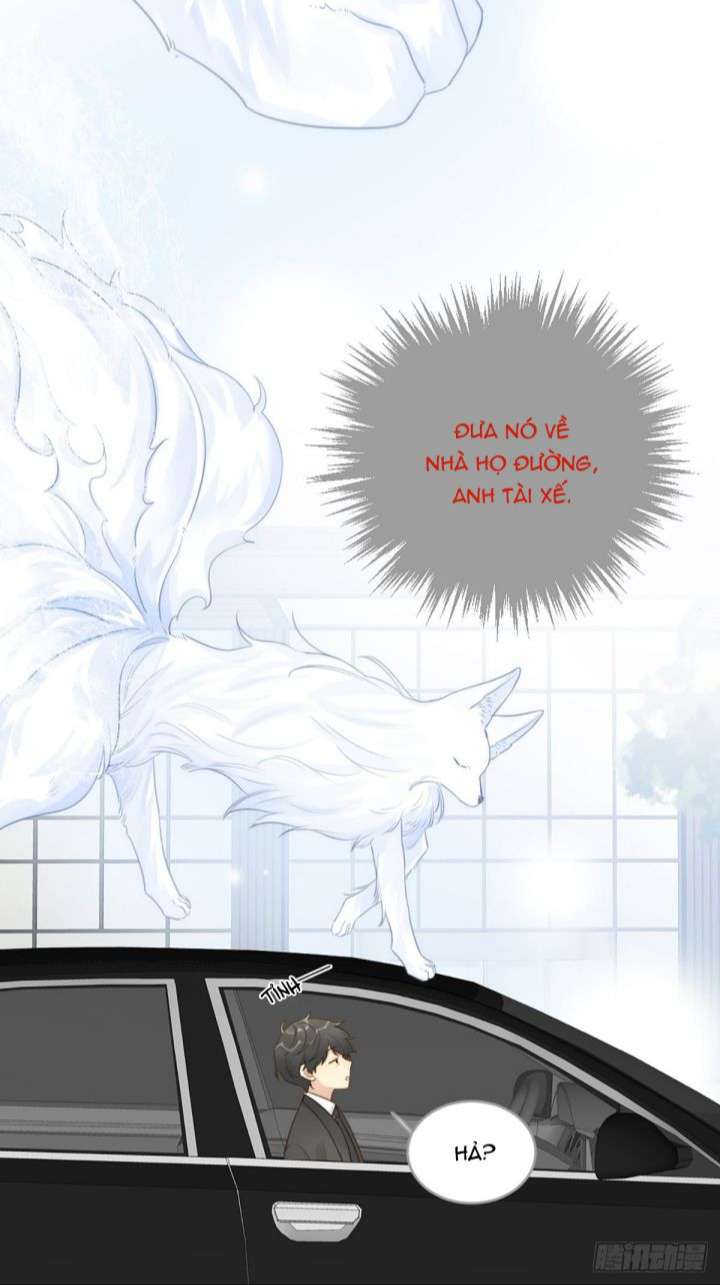 Chỉ Có Đuôi Là Không Thể Chap 8 - Next Chap 9