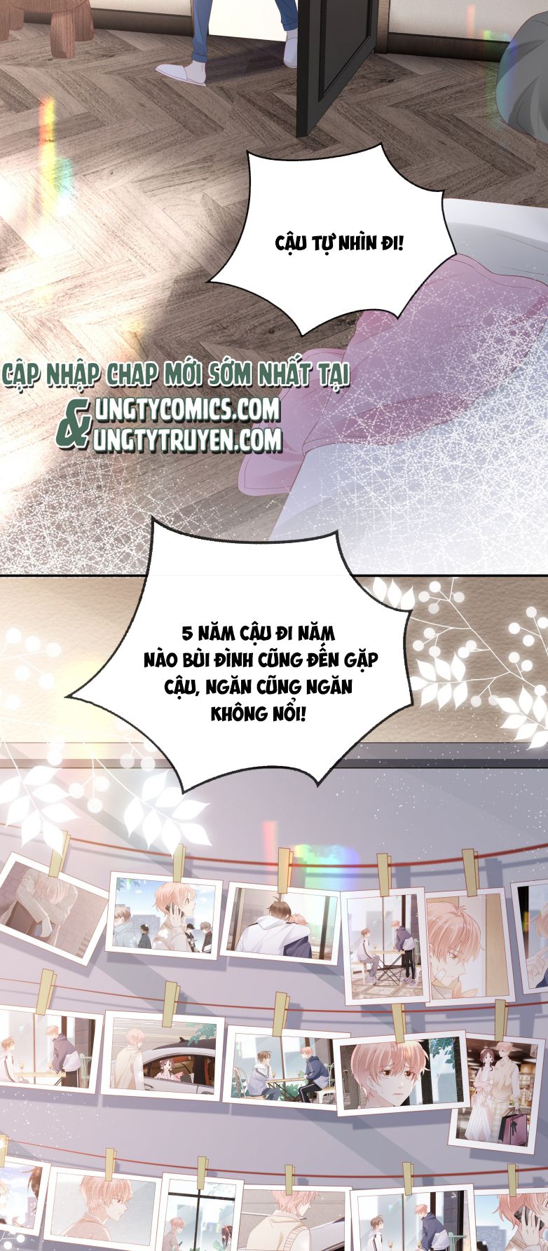 Bùi Bảo Chapter 71 - Next Chapter 72