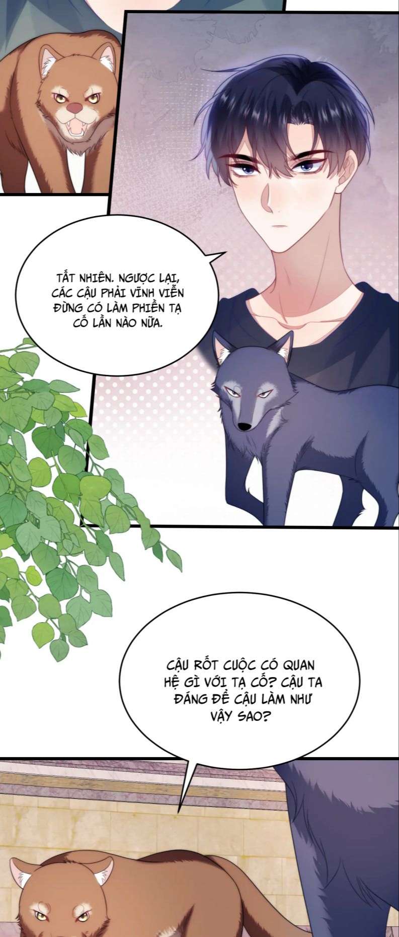 Tiểu Dã Miêu Của Học Bá Thật Trêu Người Chap 50 - Next Chap 51