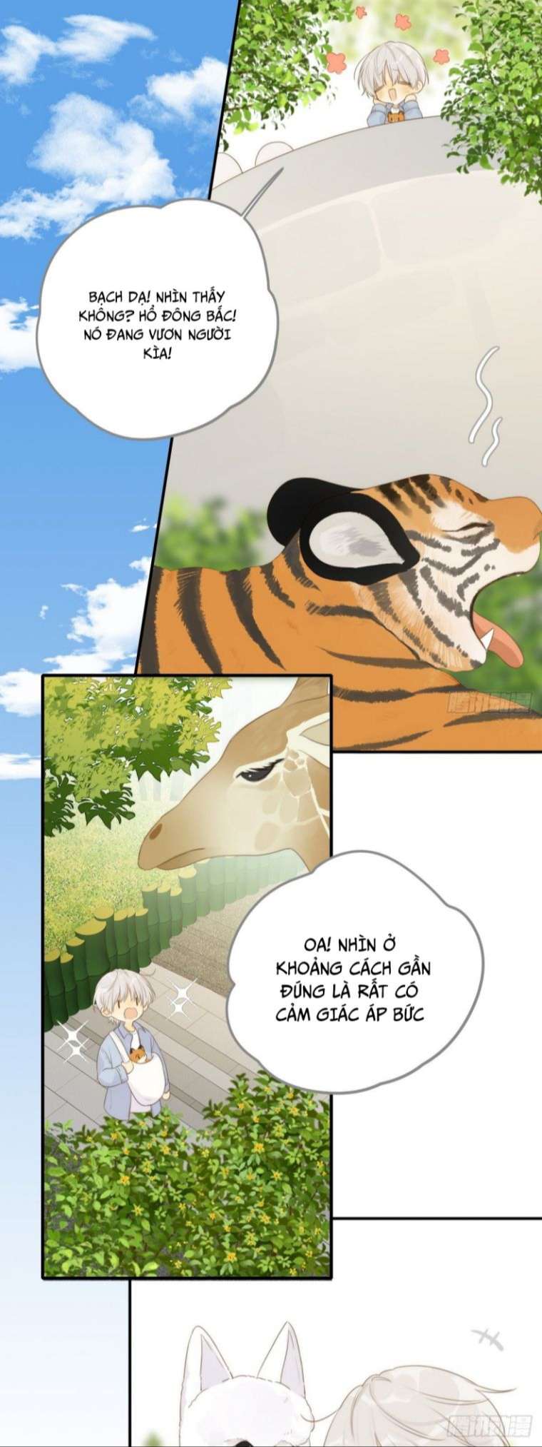 Chỉ Có Đuôi Là Không Thể Chap 14 - Next Chap 15