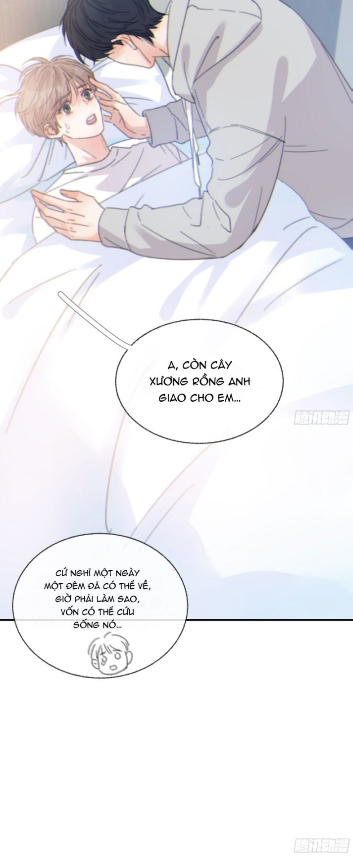 Khi Người Ngủ Say Chap 10 - Next Chap 11