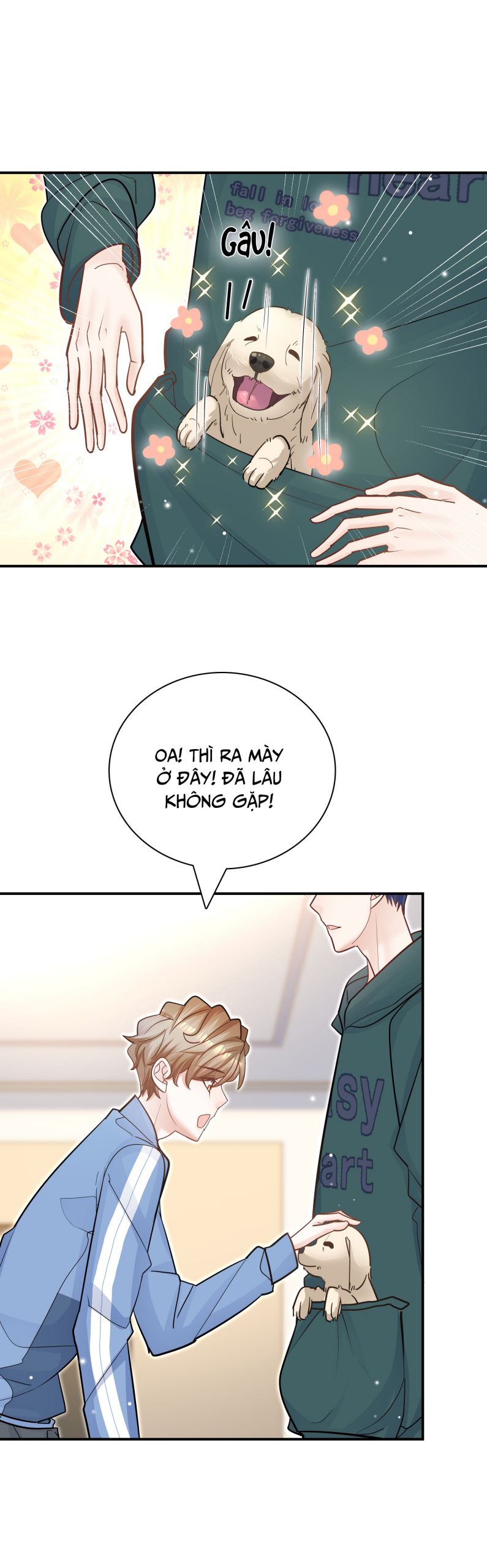 Anh Ấy Sinh Ra Là Công Của Tôi Chap 75 - Next Chap 76