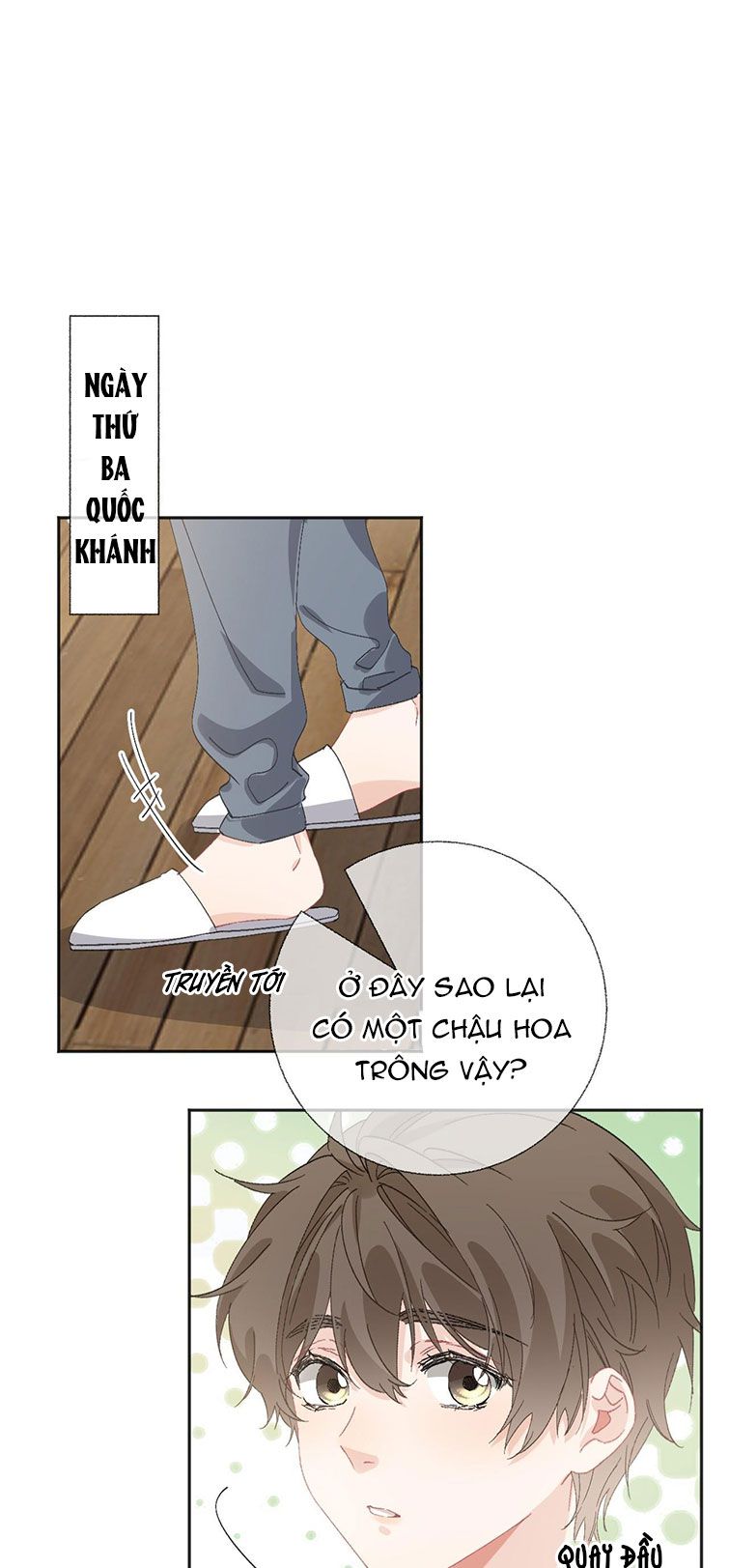 Công Lược Đối Tượng Sai Rồi Chap 48 - Next Chap 49