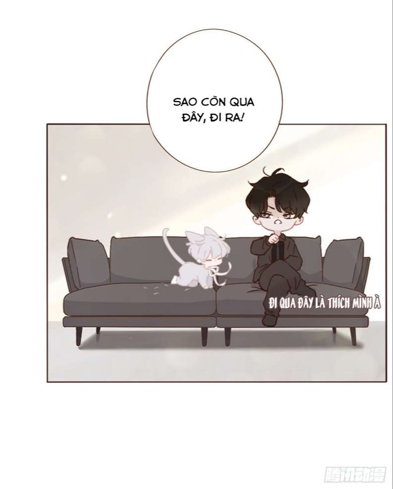 Ôm Chặt Vào Lòng Phiên Ngoại 1 - Next Chap 0