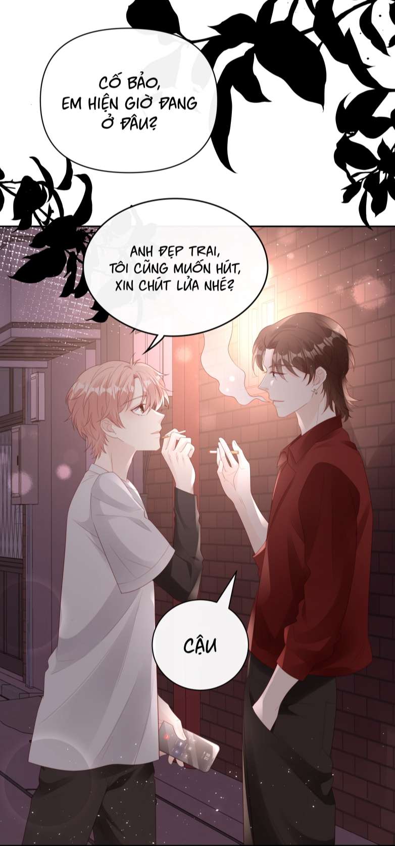 Bùi Bảo Chapter 79 - Next Chapter 80