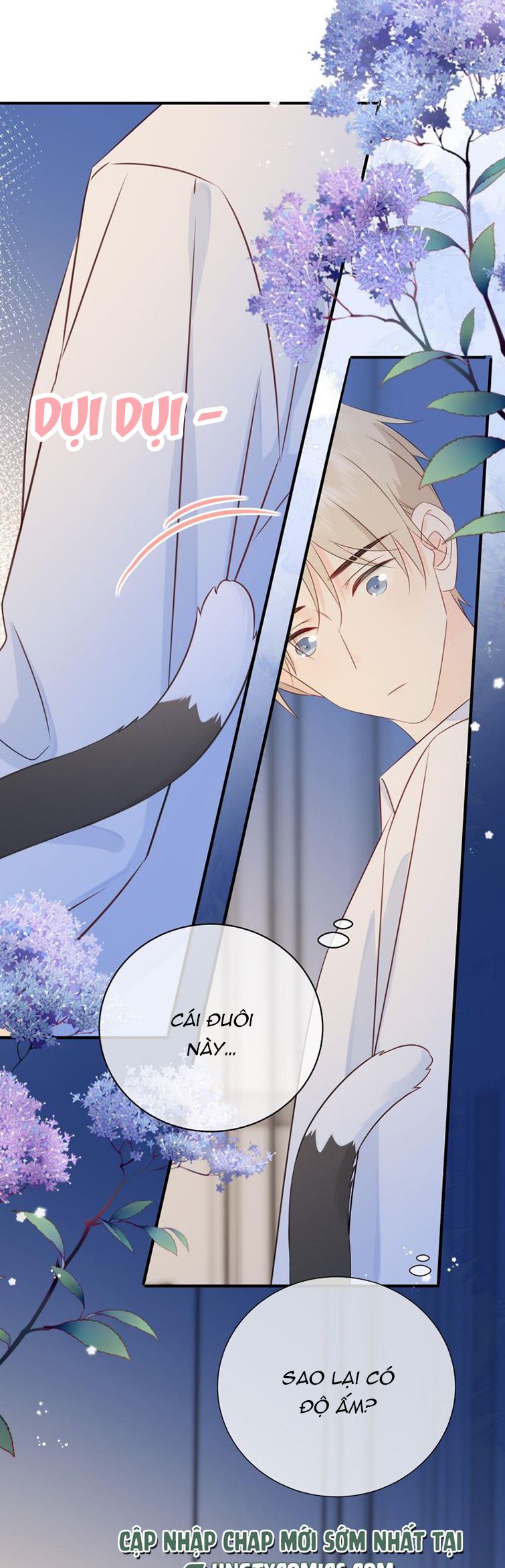 Dinh Dưỡng Quá Tốt Chap 41 - Next Chap 42