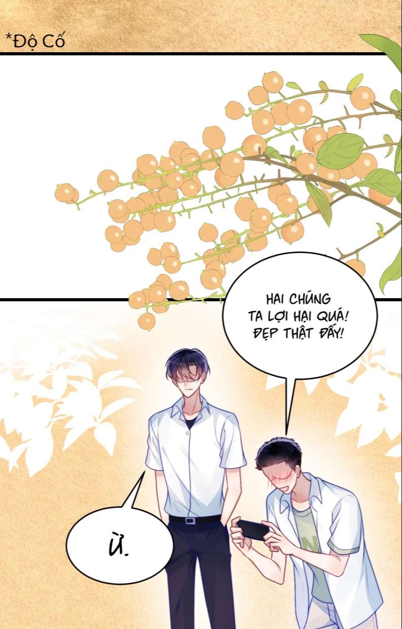 Tiểu Dã Miêu Của Học Bá Thật Trêu Người Chap 60 - Next Chap 61