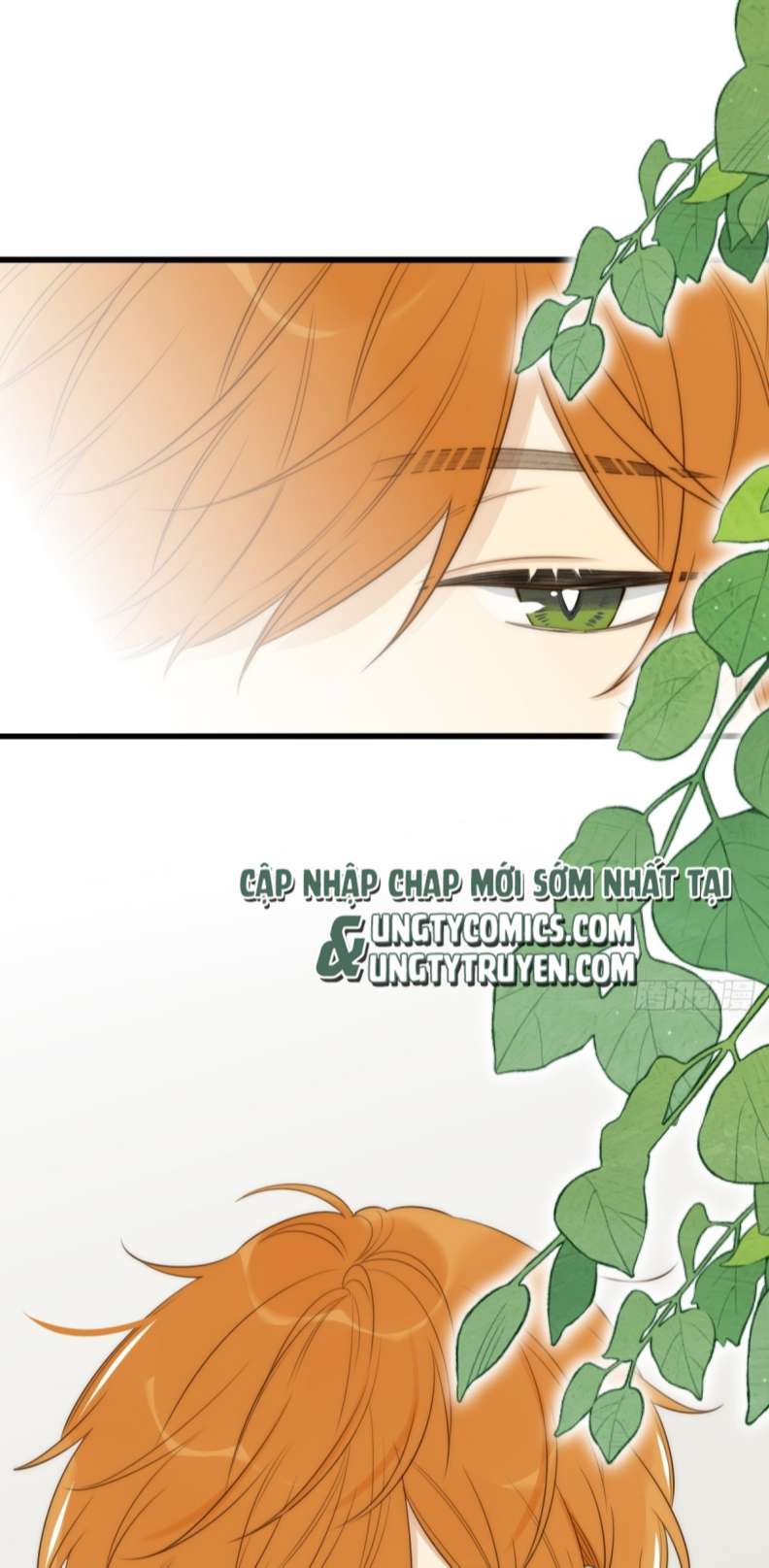 Chỉ Có Đuôi Là Không Thể Chap 21 - Next Chap 22