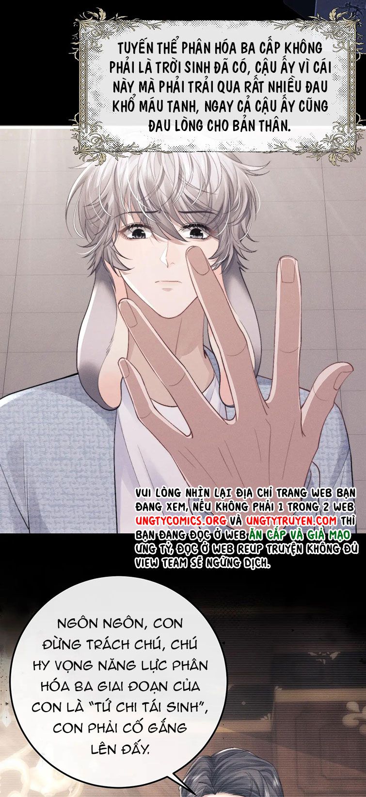 Chấp sự thỏ cụp tai Chapter 22 - Next Chapter 23