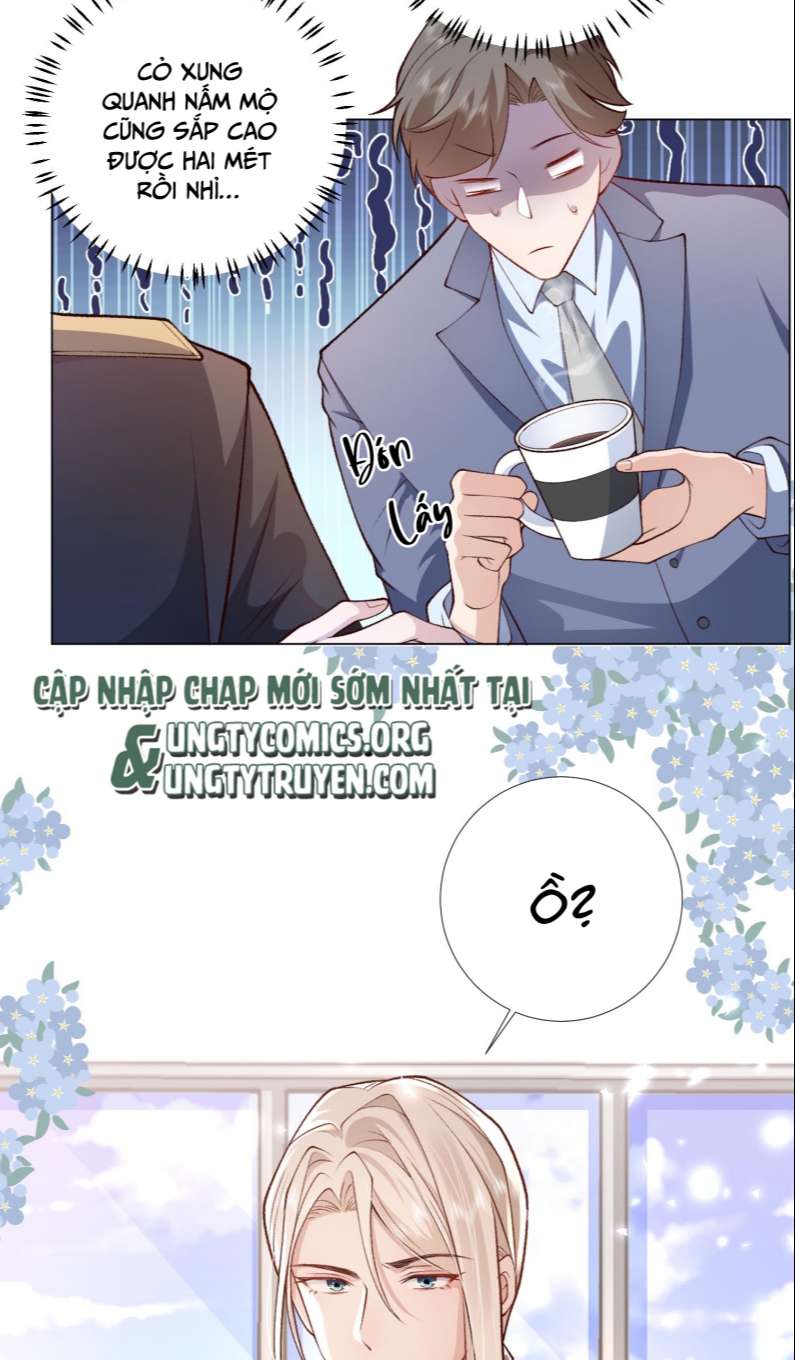 Anh Ấy Quá Khéo Rồi Chap 6 - Next Chap 7