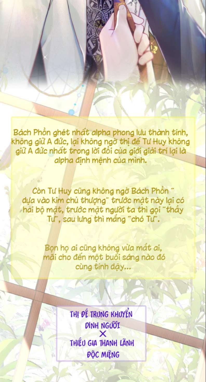 Bất Thủ A Đức Văn Án - Next Chap 1