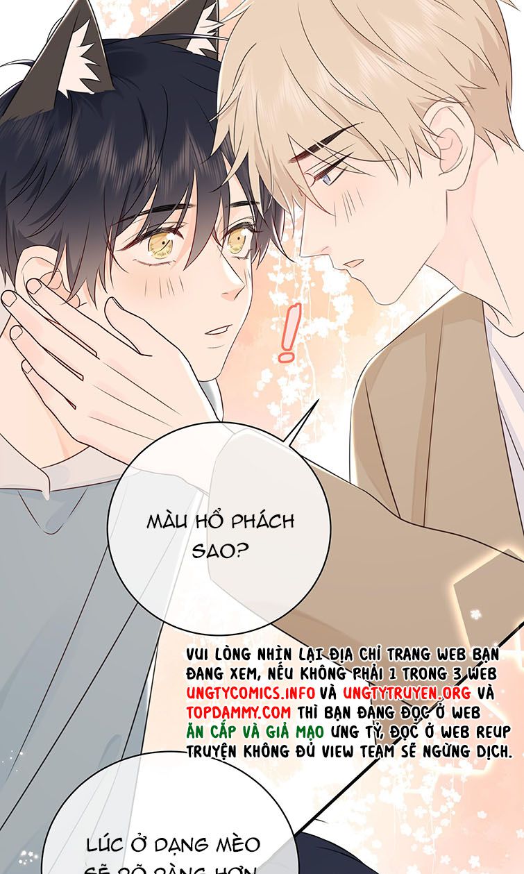 Dinh Dưỡng Quá Tốt Chap 43 - Next Chap 44