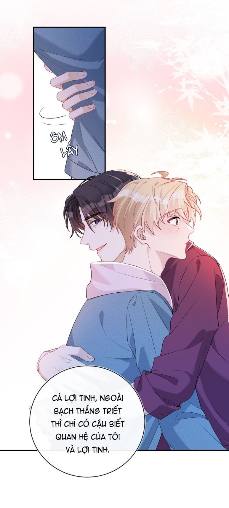 Hoàn Mỹ Vô Khuyết Chap 29 - Next Chap 30