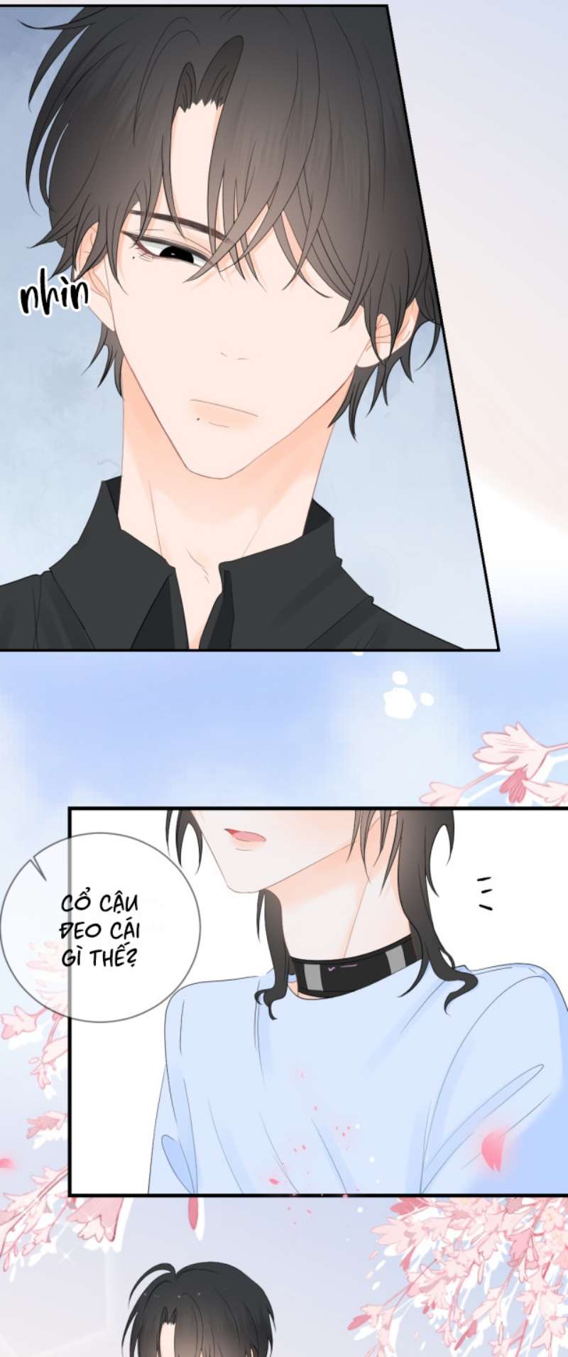 Thì ra là Thỏ tiên sinh Chapter 3 - Next Chapter 4