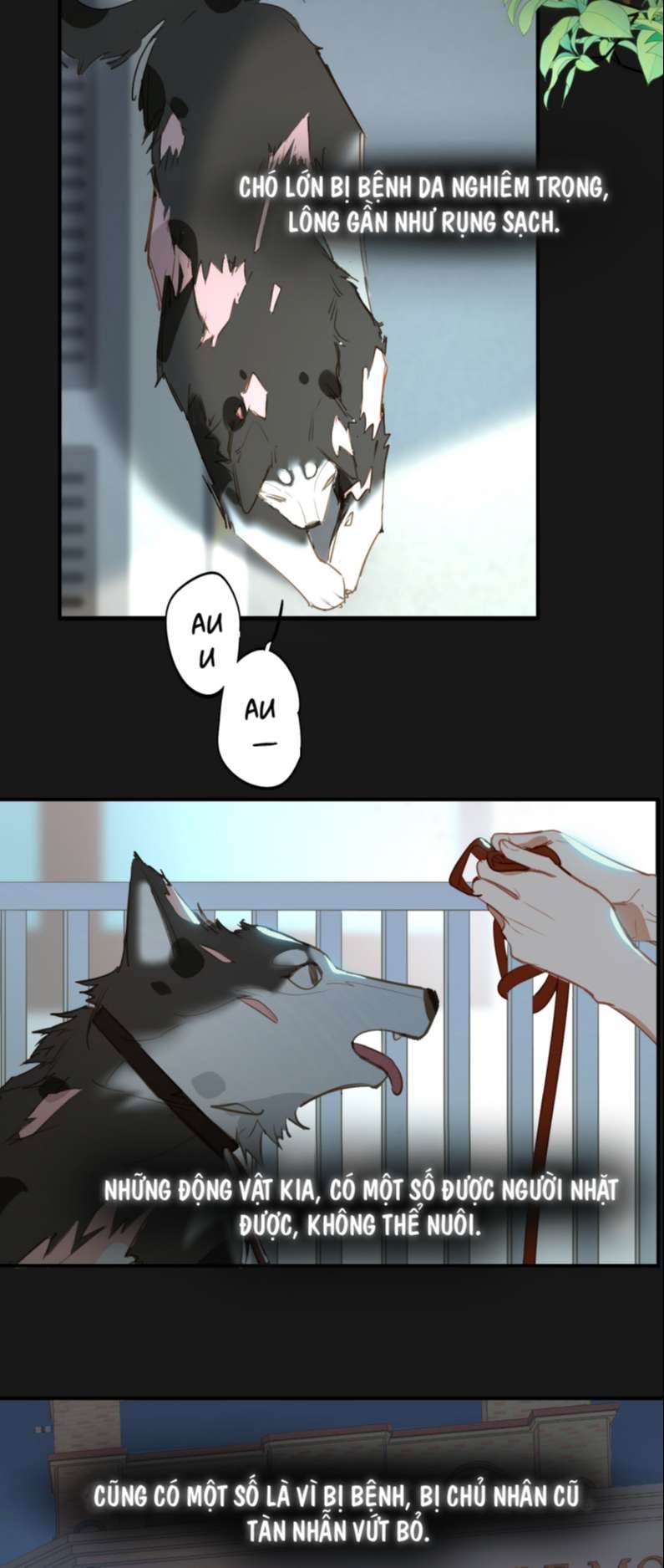 Tôi có bệnh Chapter 2 - Next Chapter 3