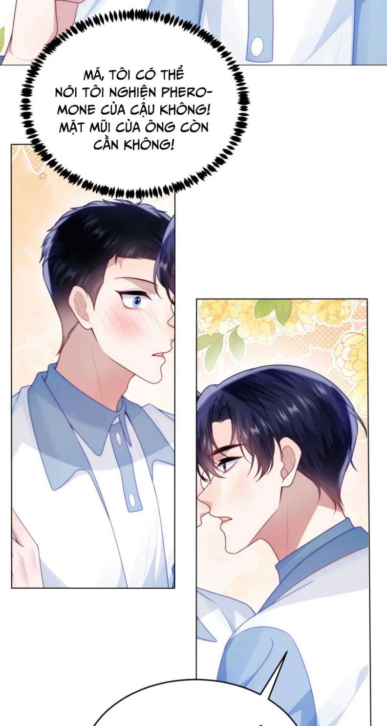 Tiểu Dã Miêu Của Học Bá Thật Trêu Người Chap 67 - Next Chap 68