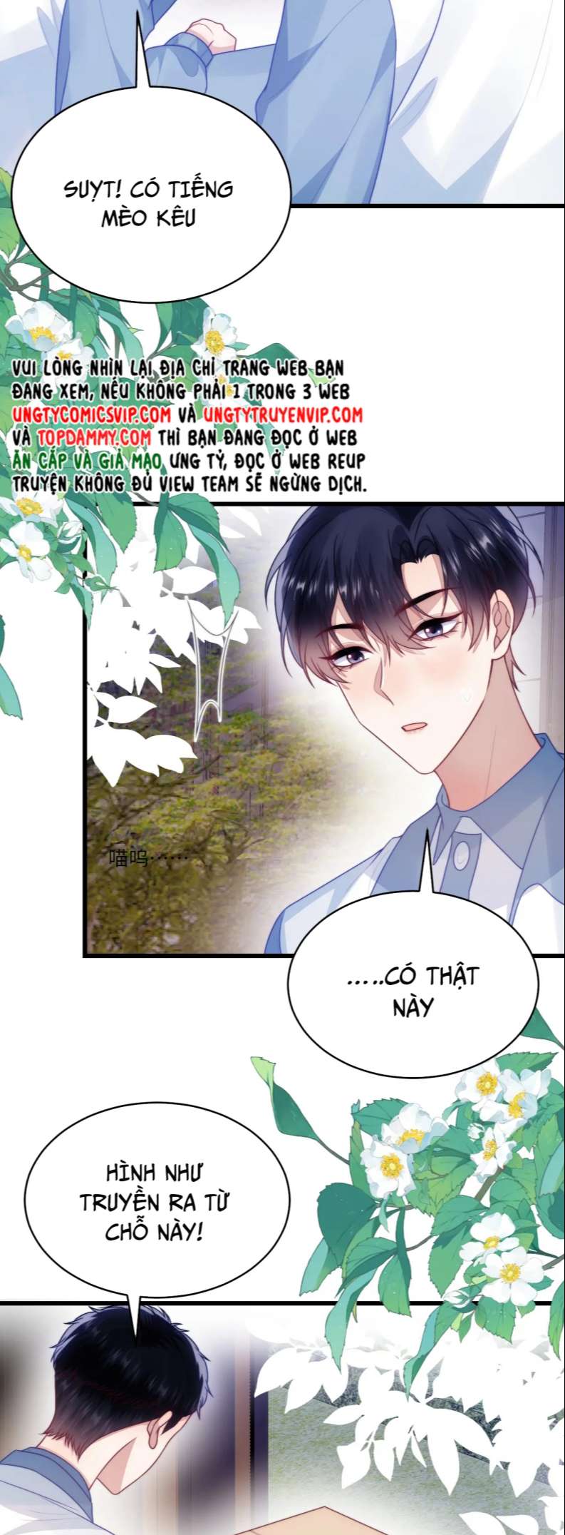 Tiểu Dã Miêu Của Học Bá Thật Trêu Người Chap 68 - Next Chap 69