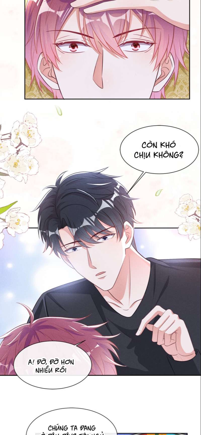 Tôi Với Hình Mẫu Lý Tưởng Lìa Trần Rồi! Chap 74 - Next Chap 75