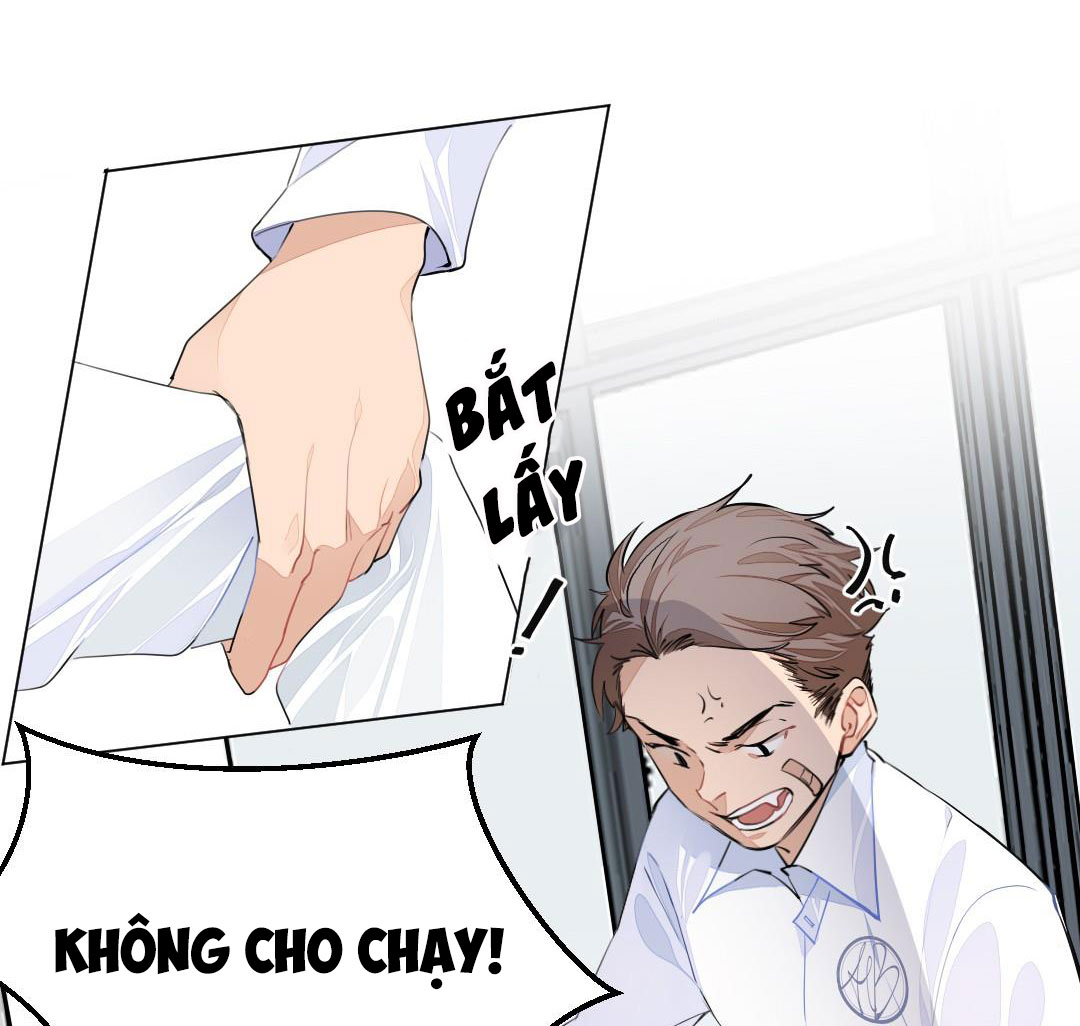 Học Bá Hôm Nay Chọc Đến Tiểu Nãi Bao Rồi Sao Chap 2 - Next Chap 3