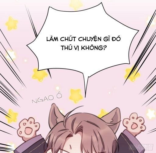 Bất Tảo Triều Chap 19 - Next Chap 20