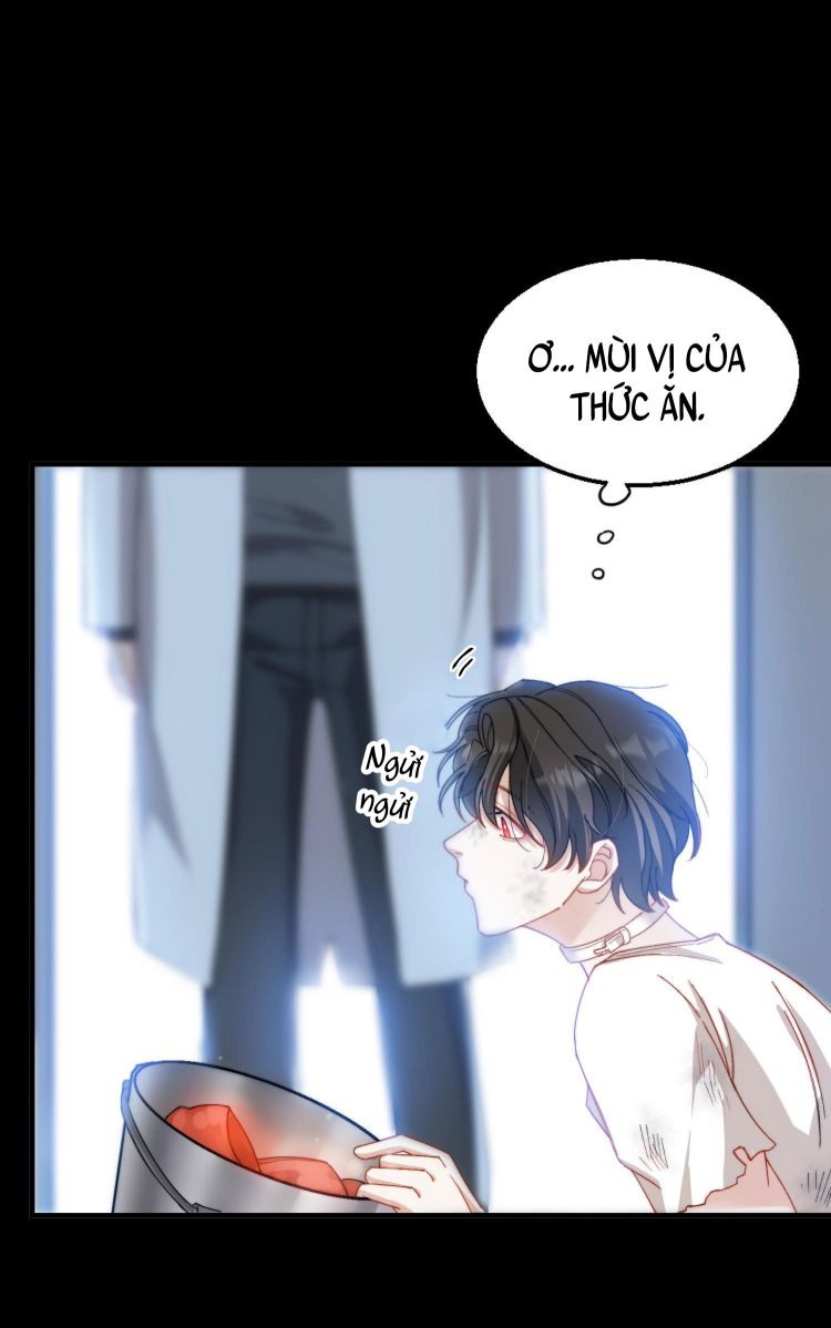 Nụ Hôn Vực Thẳm Chap 16 - Next Chap 17